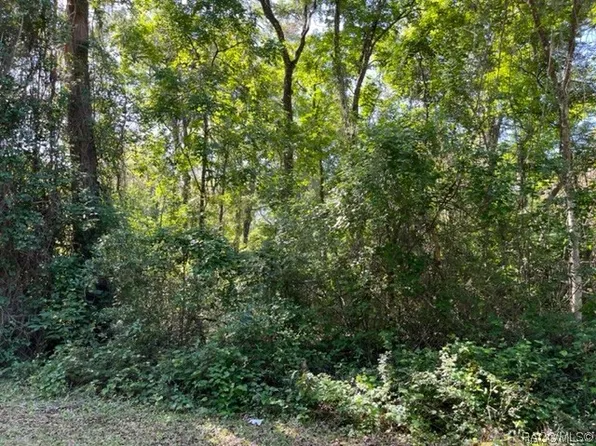 0 NE 160th Ln, Citra, FL 32113