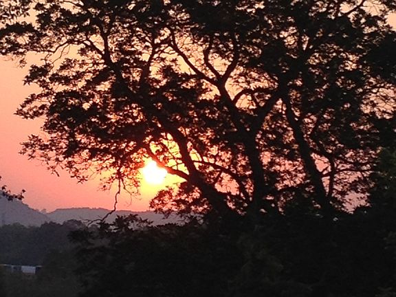 Sunrise from the living room
