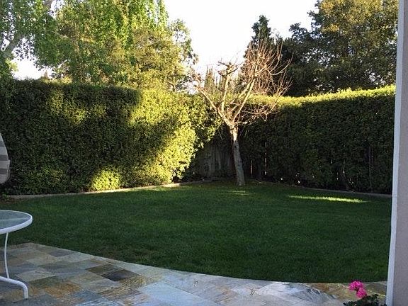 Semi-private back yard