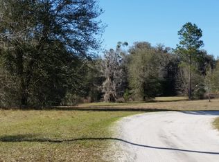 433 SW Heron Dr, Fort White, FL 32038