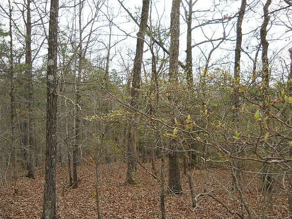3rd image of 147 Thunder Ln