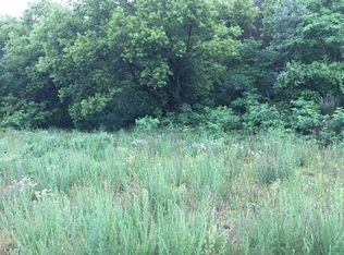 4929 Streamside Pointe Dr SE, Ada, MI 49301