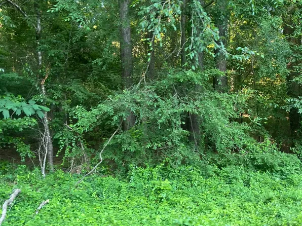 LOT 37 Tanglewood Dr #Ii, Monticello, AR 71655