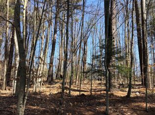 0 Coolidge Hill Rd, Bolton Landing, NY 12814