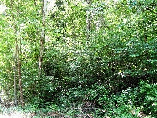 2nd image of Hiwassee Dr