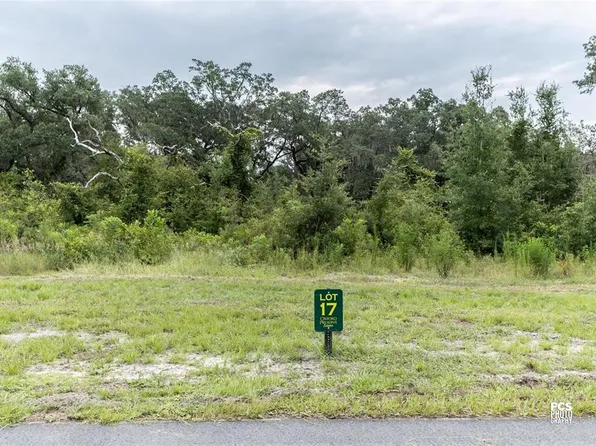 1417 Oxford Preserve, Oxford, FL 34484