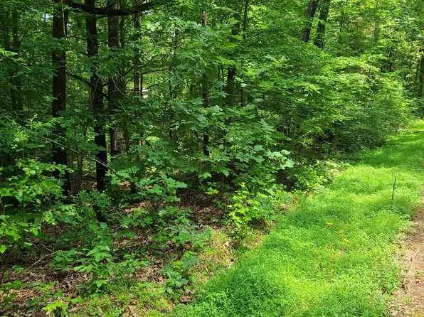 0 Sand Dr, Murray, KY 42071