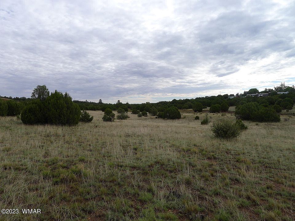 4970 Hollyhock St, Clay Springs, AZ 85923 MLS 245667 Zillow