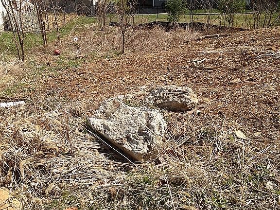 Looking down from front