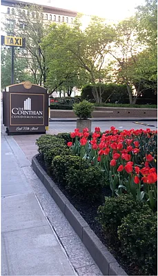 Rented by Douglas Elliman | media 43