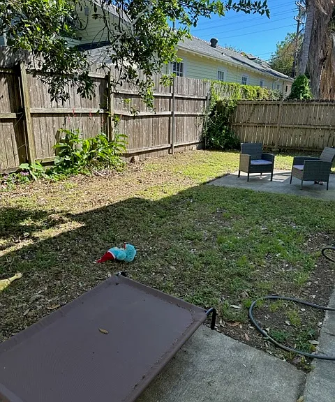 2225 Dauphine St #B — Photo 6