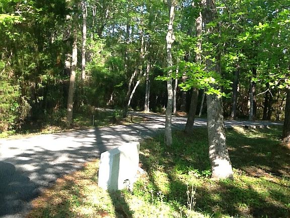 In the woods