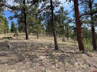 538 Church Creek Dr, South Fork, CO 81154
