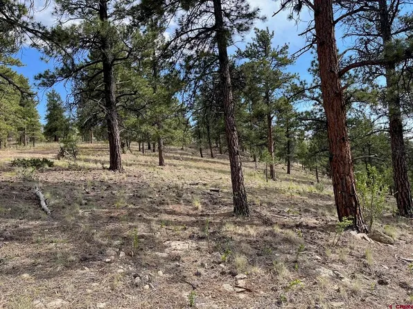 538 Church Creek Drive, South Fork, CO 81154