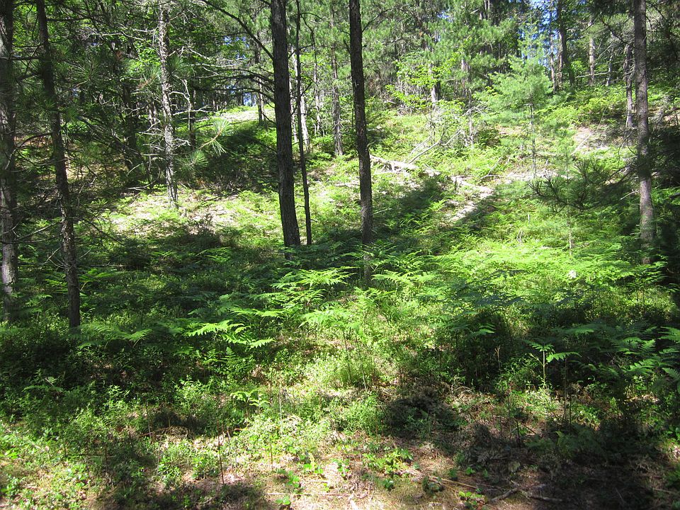 2nd image of 0 Red Pine Trl