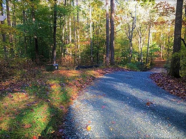 1st image of LOT 1 Preservation Forest Ln Lot 1