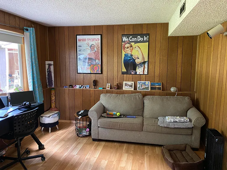 Downstairs bedroom