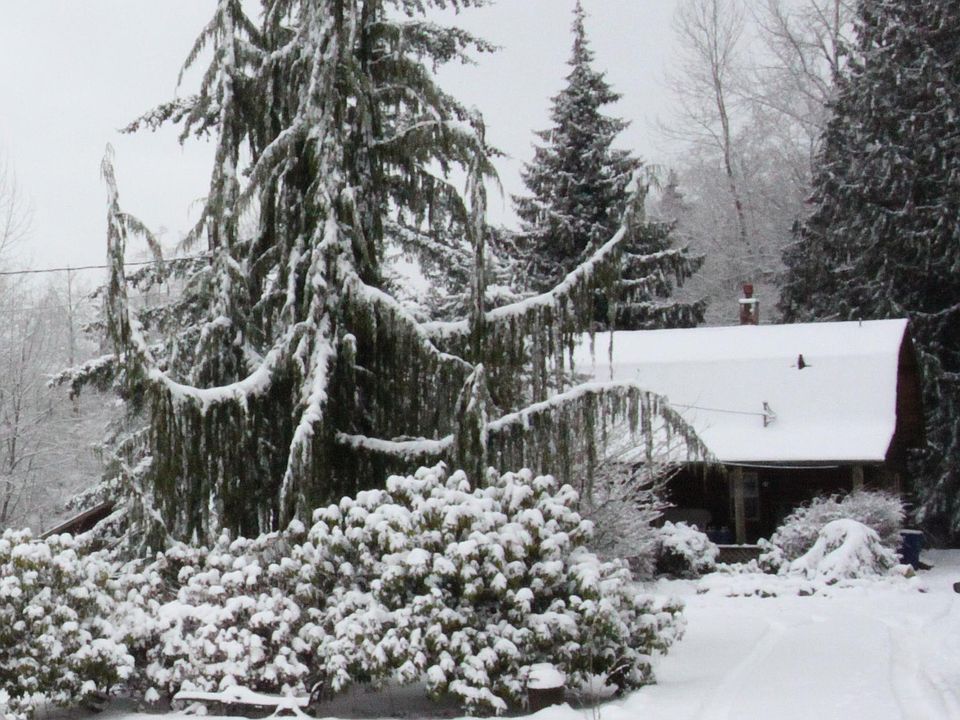 1st image of 20425 36th Ave NW