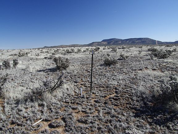 4th image of 0000 Along Way