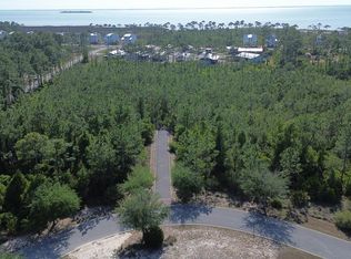115 Shallow Reed Dr, Pt Saint Joe, FL 32456