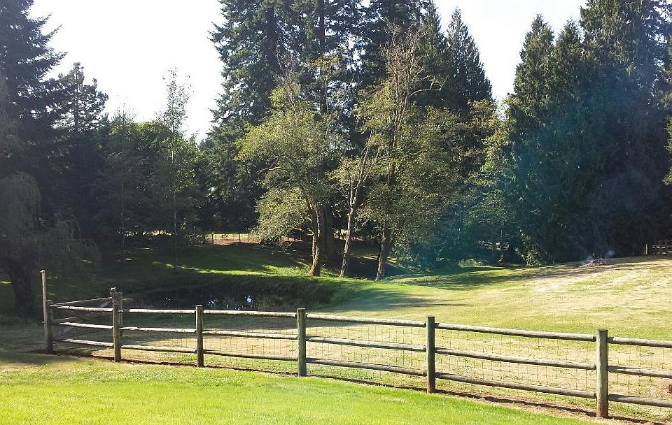 View from house