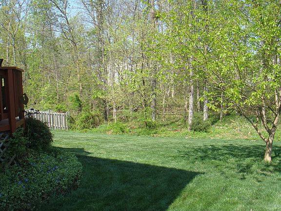 right side of house facing wooded area