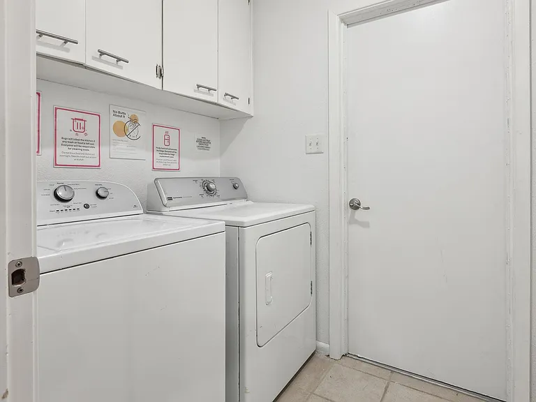 Pointer Ln — Photo 8