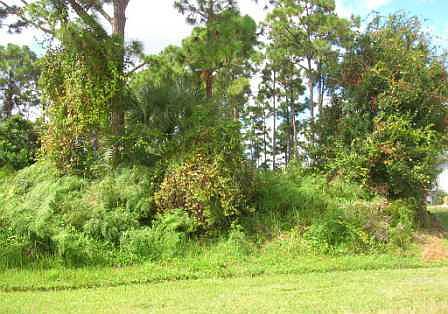 1st image of 1253 SE Palm Beach Road