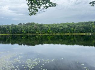 3091 N Forest Rd, Birchwood, WI 54817