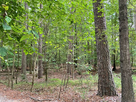 3rd image of LOT-83R Taylors Pointe Ln