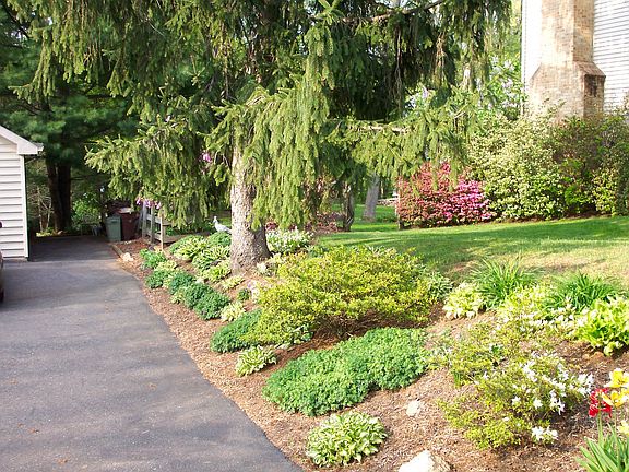Driveway landscaping