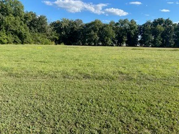 452 Beyers Lake Est, Pana, IL 62557