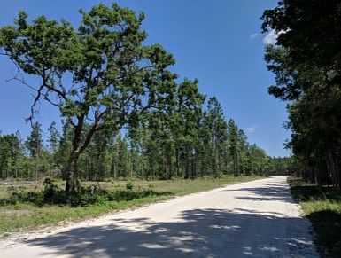 1st image of 185 Road