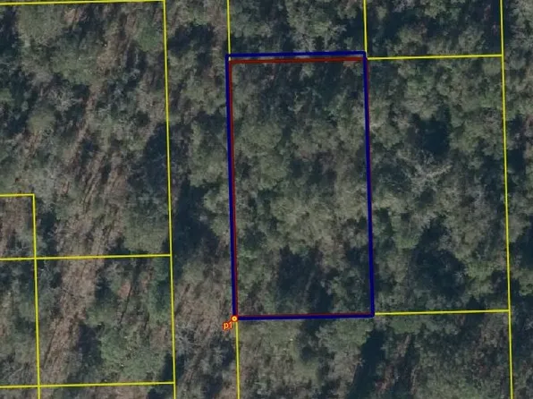 0 SE Suwannee Hts, O'Brien, FL 32071