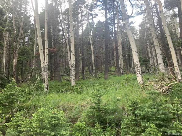 2952 LARRY Place LOT 2952, Fort Garland, CO 81133