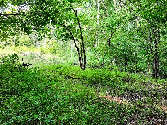 4th image of 985 State Highway 31 Lot 0