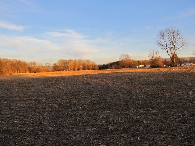 1st image of 25 Campbell Ln