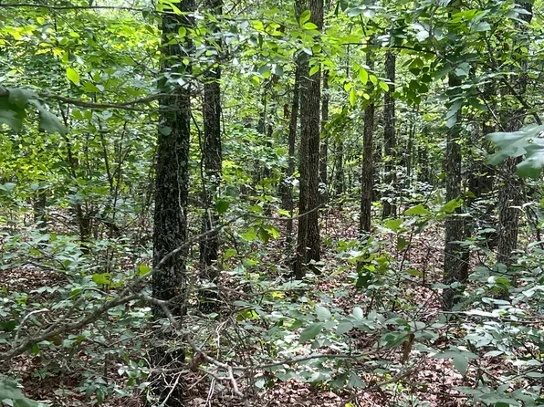 Lot 3 Water Oak Lane, Mammoth Spring, AR 72554