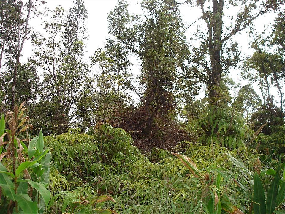 1st image of Opalipali St Lot 6