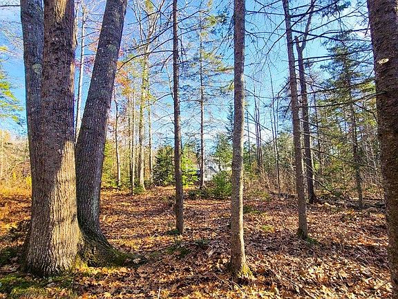 2nd image of Woodland Hts