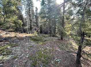 12282 Hosman Court, Conifer, CO 80433