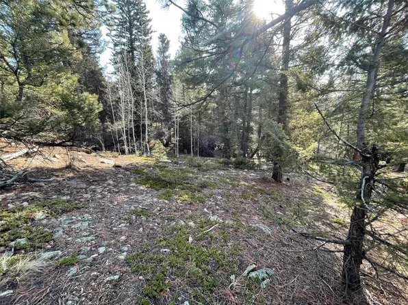 12282 Hosman Court, Conifer, CO 80433