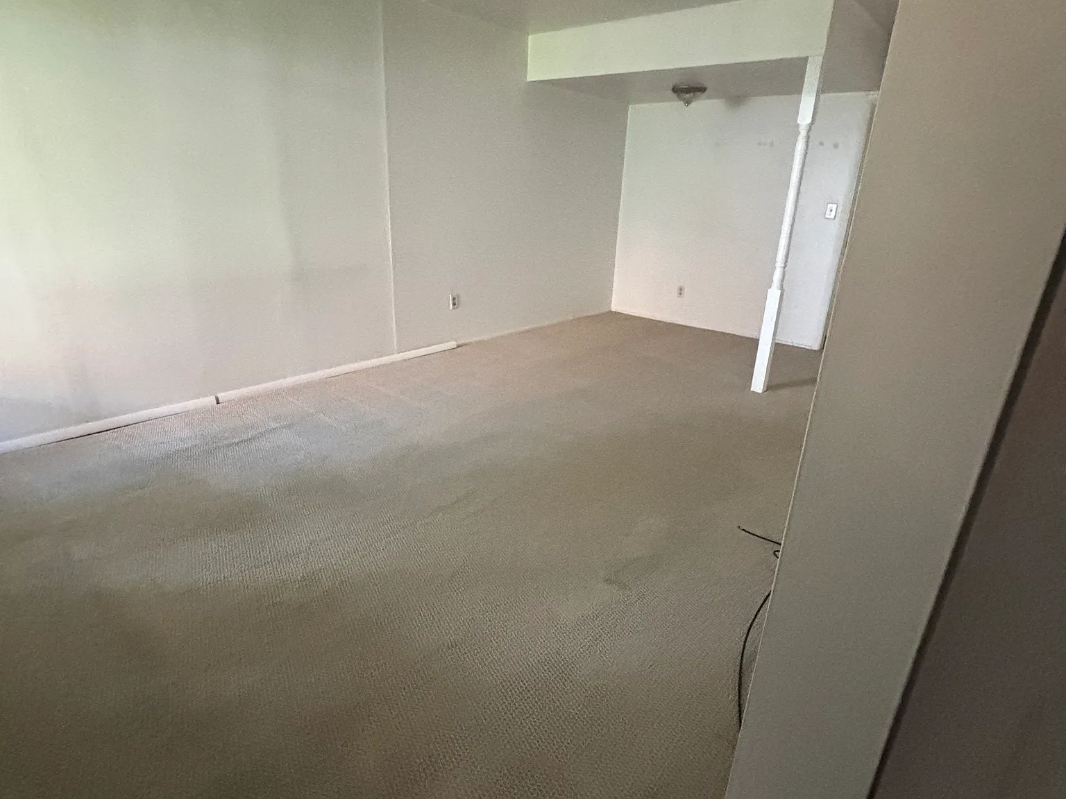 1 bed, 800 sqft, $1,250 — Photo 3