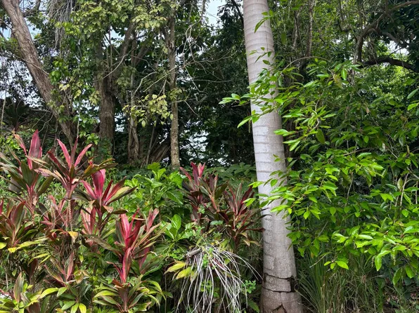 0 Carr Dm #842-4.6, San Juan, PR 00920