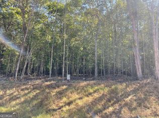 15 Clear Creek Rd, Ellijay, GA 30536