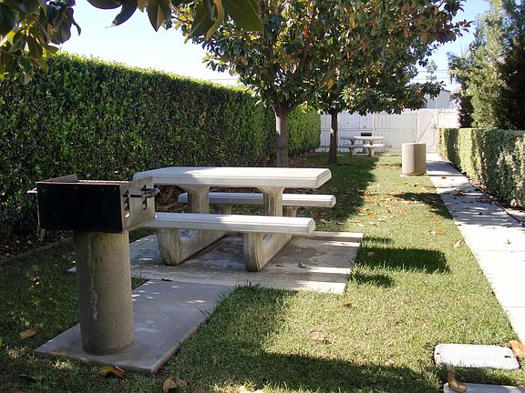 Picnic Area