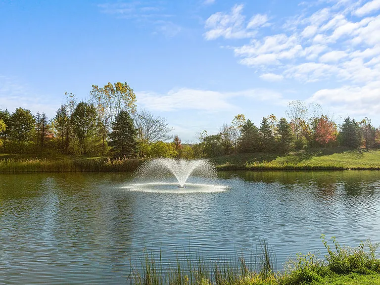 Beautiful Landscaping