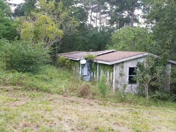 40 Trailwood Ln, Coldspring, TX 77331