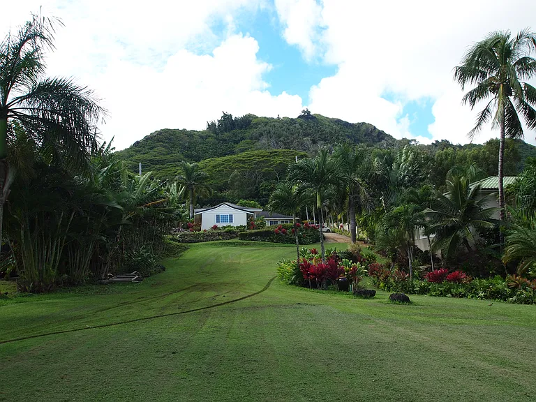 48-505 Kamehameha Hwy — Photo 5