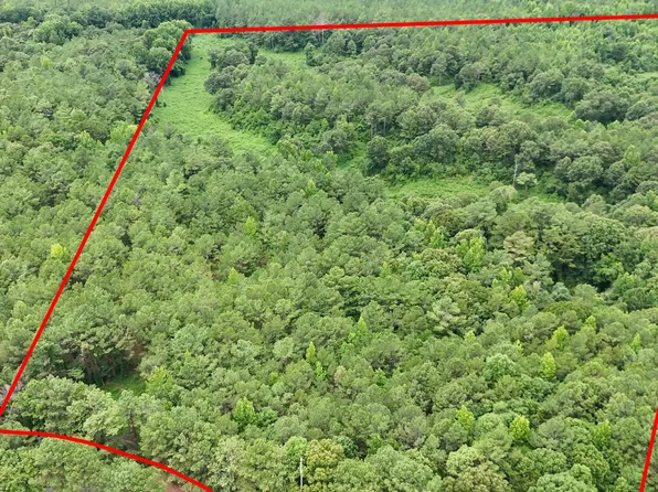 351 Waites Rd, Holly Springs, MS 38635